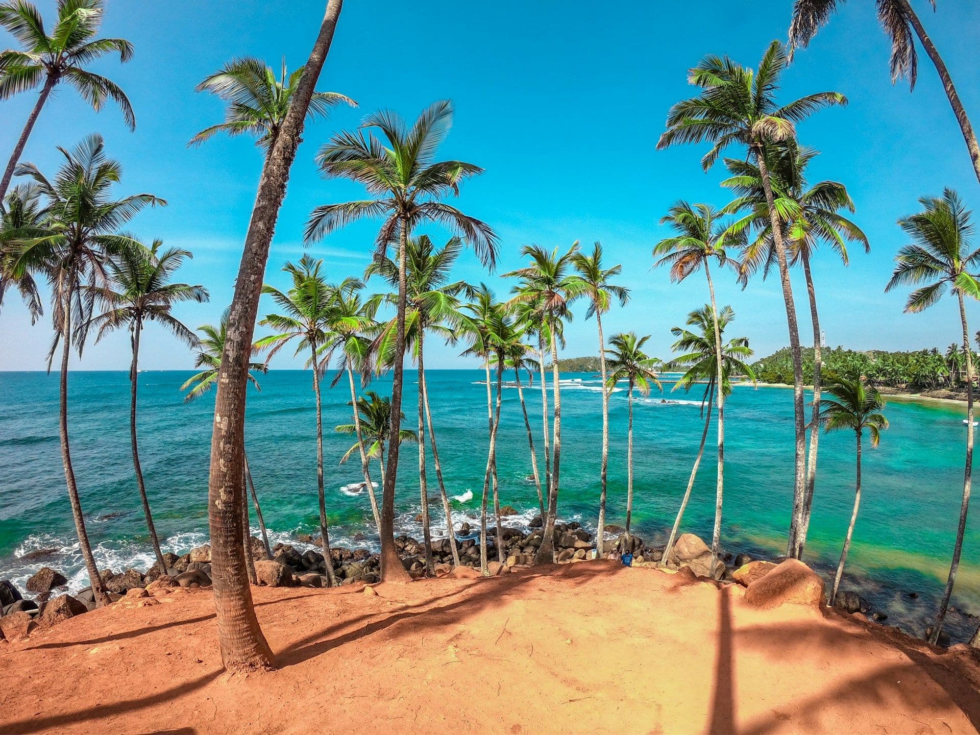 Mirissa beach with palm trees and turquoise ocean