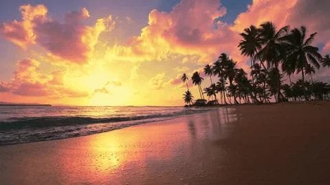 Mirissa: Sunsets at Coconut Tree Hill