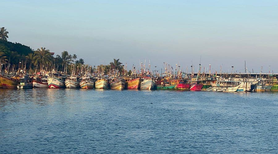 Mirissa Fisheries Harbour: The Dawn Fleet