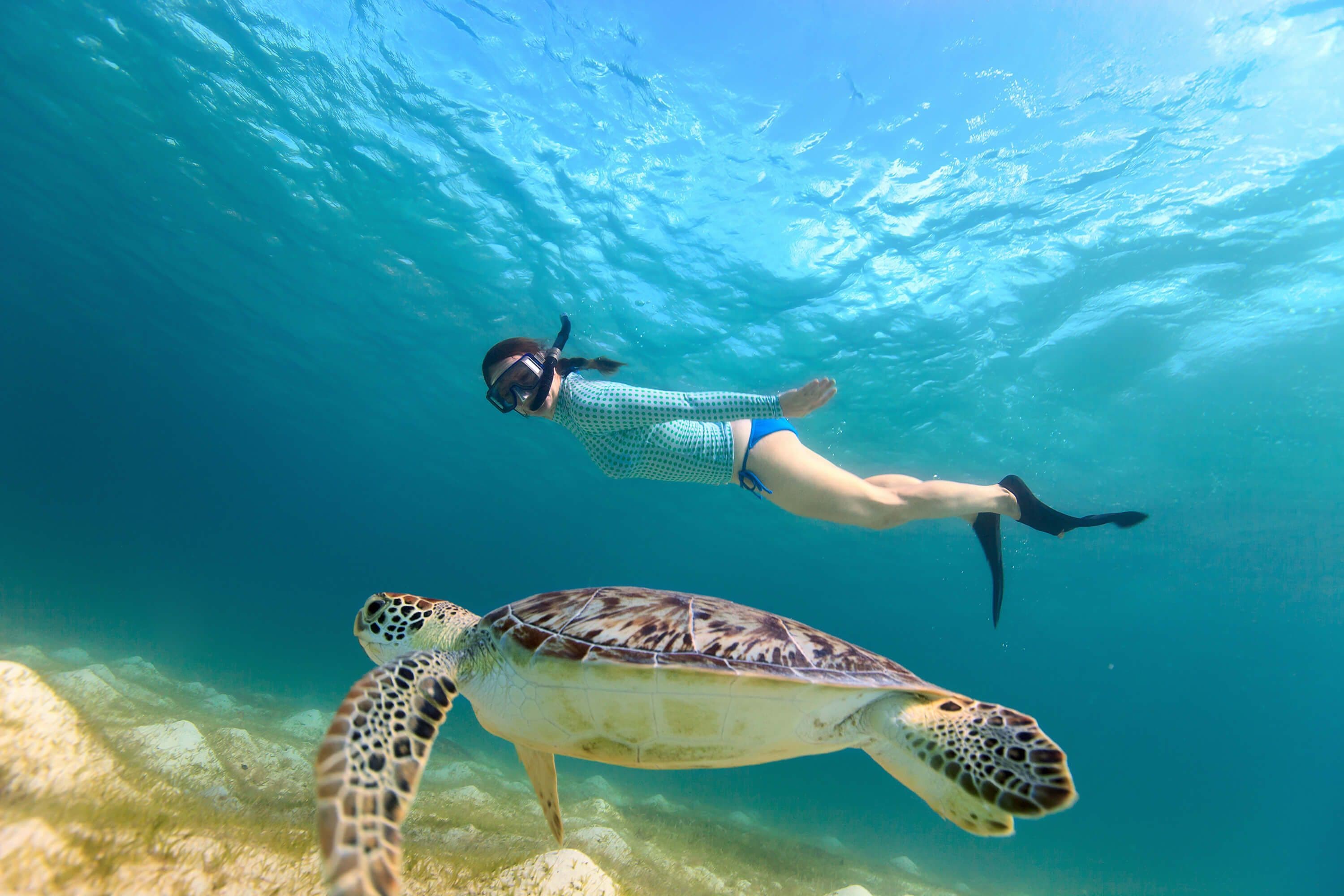 Snorkeling with Turtles: A Day Trip to Polhena Beach from Mirissa